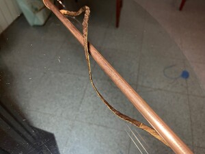 IMG_1305.jpeg