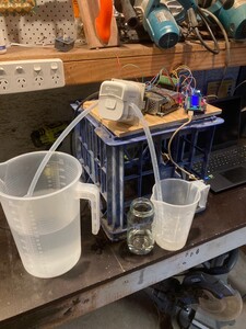 IMG_9241.jpeg