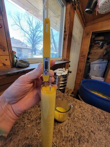 20240319_154532.jpg