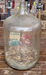 CARBOY 14 SEP 24 - C.JPG