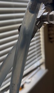 IMG_3986.jpeg