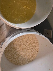 20250419_205757.jpg