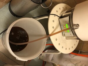 IMG_0822.jpeg