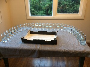 IMG_2359.jpeg