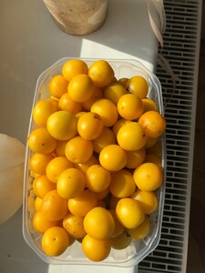 IMG_0828.jpeg