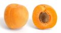 Apricot and cross section.jpg